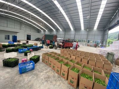 孙传荣 走出产业融合发展之路，农副产品的创新与突破