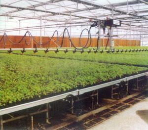 重华供应各类大棚喷灌系统 微喷、移动喷灌助力现代农业