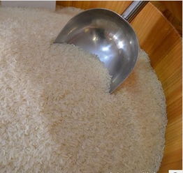 徐州农副产品加工产业布局与专业企业分布