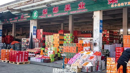 658亩大型商业地块亮相，扬州这一区域展现农副产品流通新野心