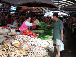 农副产品涨价潮下的市民心态 理性应对与长远思考